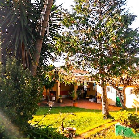 Bed and Breakfast Lugar Saloio Sintra Algueirão-Algueirão-Mem Martins Exterior foto