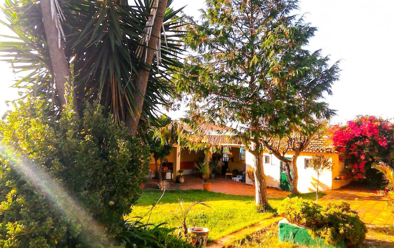 Bed and Breakfast Lugar Saloio Sintra Algueirão-Algueirão-Mem Martins Exterior foto